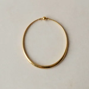 Linear Collar Necklace
